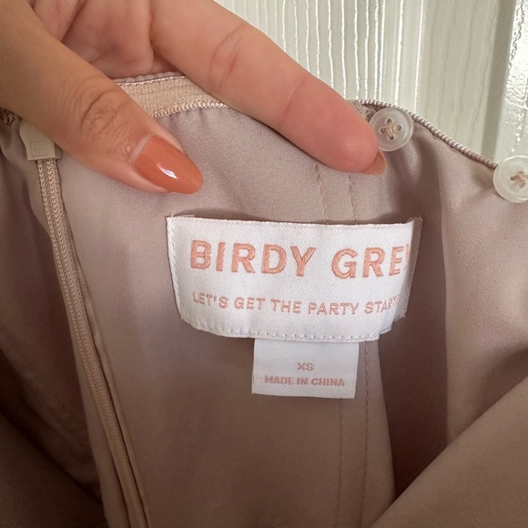 Birdy Grey Mia Dress Satin Taupe - Picture 4 of 8